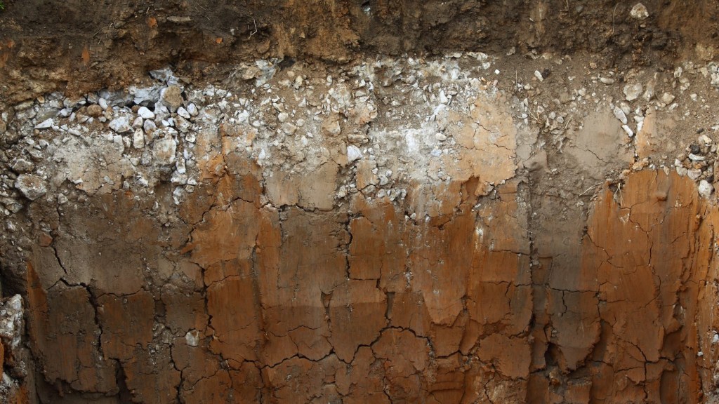 Becoming a Self Taught Soil Scientist with&nbsp;Izzy