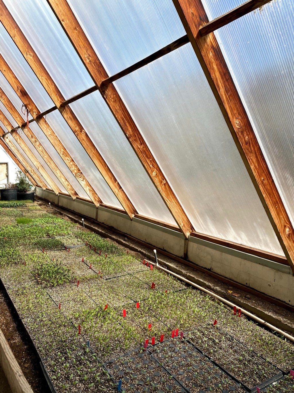 Farm food accessibility with&nbsp;Claudia