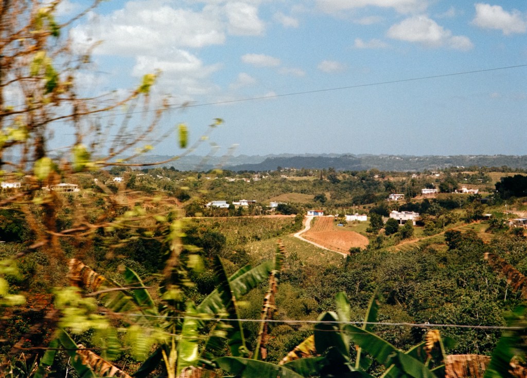 Back to the Land in Borikén: Past and&nbsp;Present